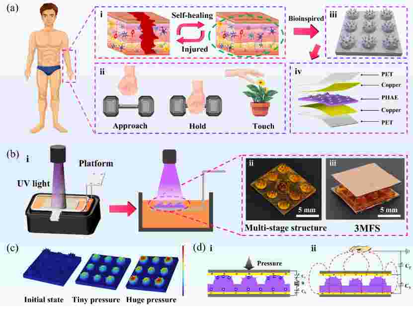 1740021279422644.jpg 微信圖片_20250218172004.jpg