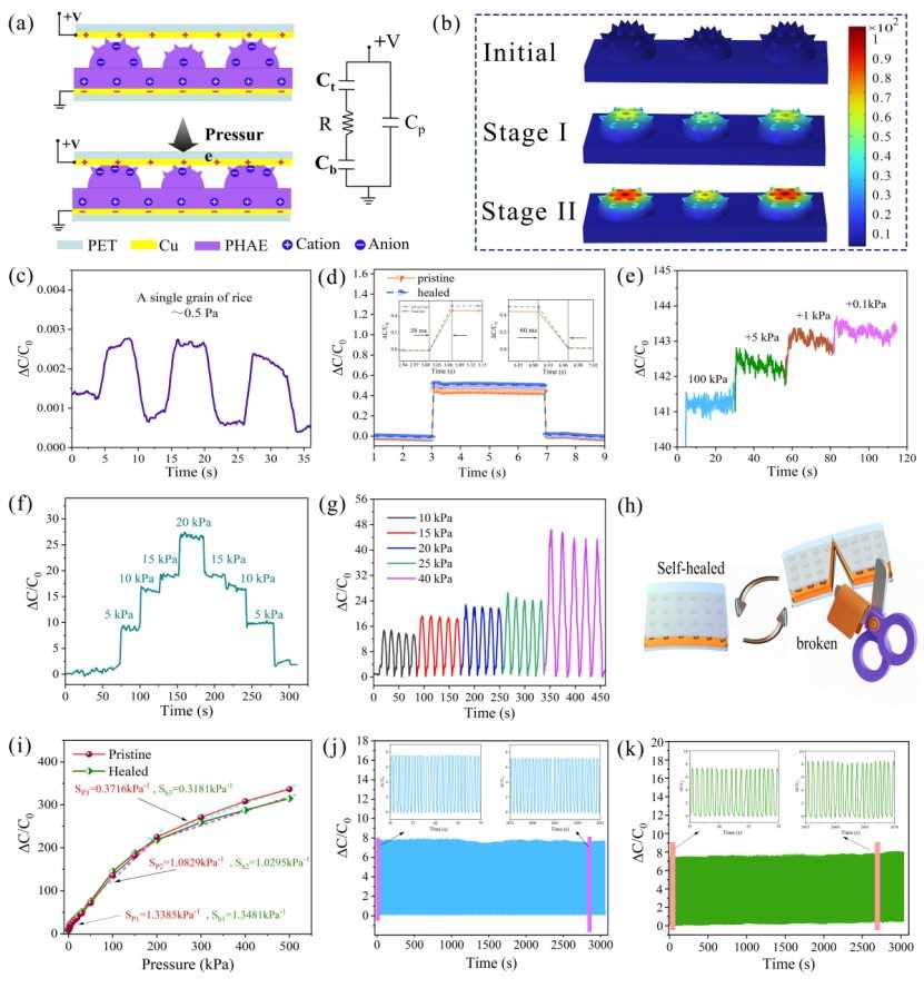 1740021354606043.jpg 微信圖片_20250220110453(1).jpg