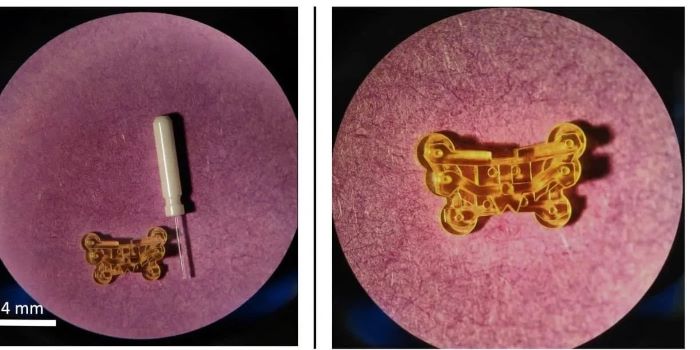 1740366739533232.jpg 微信圖片_20250224111026.jpg