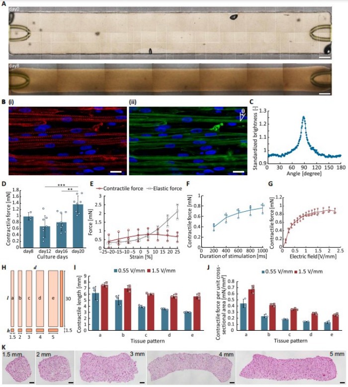 1741058633389518.jpg 微信圖片_20250303112700.jpg