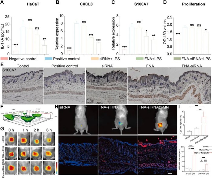 1741078857222642.jpg 微信圖片_20250304165654.jpg