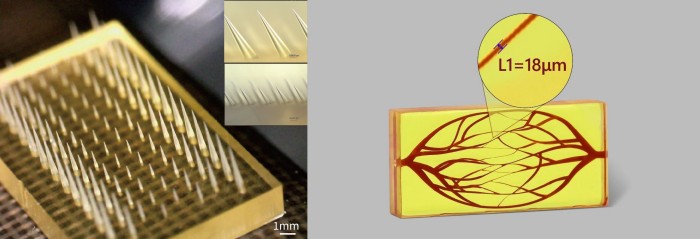 1742201569802845.jpg bffd03ea-26d8-414f-ac6d-3ef8004cab4a.jpg