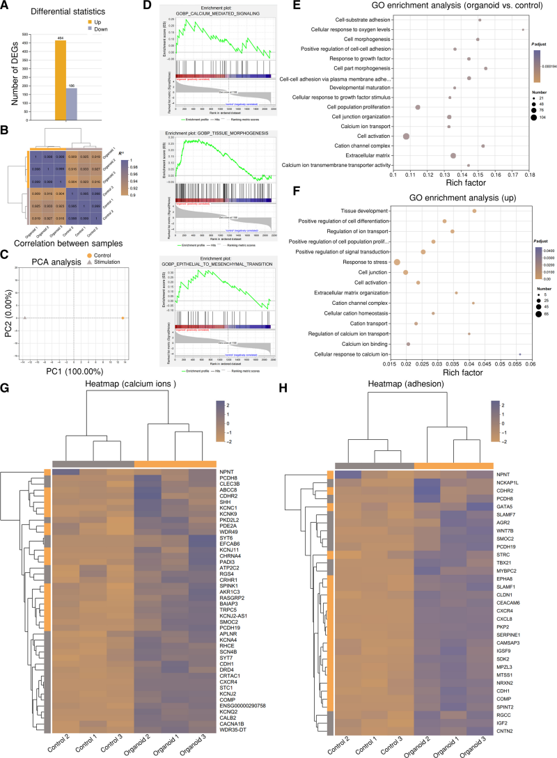 1742351355666040.png 微信圖片_20250319100201.png