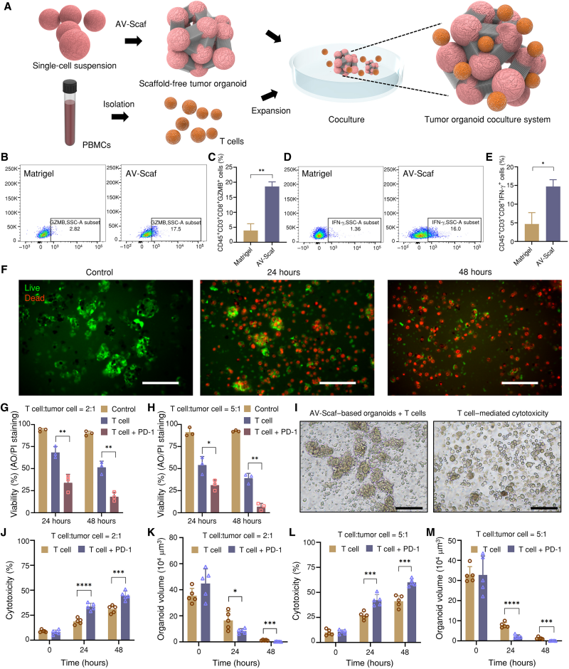 1742351377462924.png 微信圖片_20250319100206.png