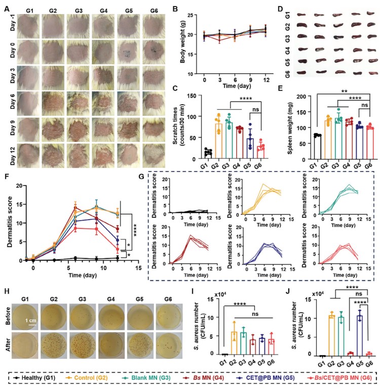 1744100124746491.jpg 微信圖片_20250408161300.jpg