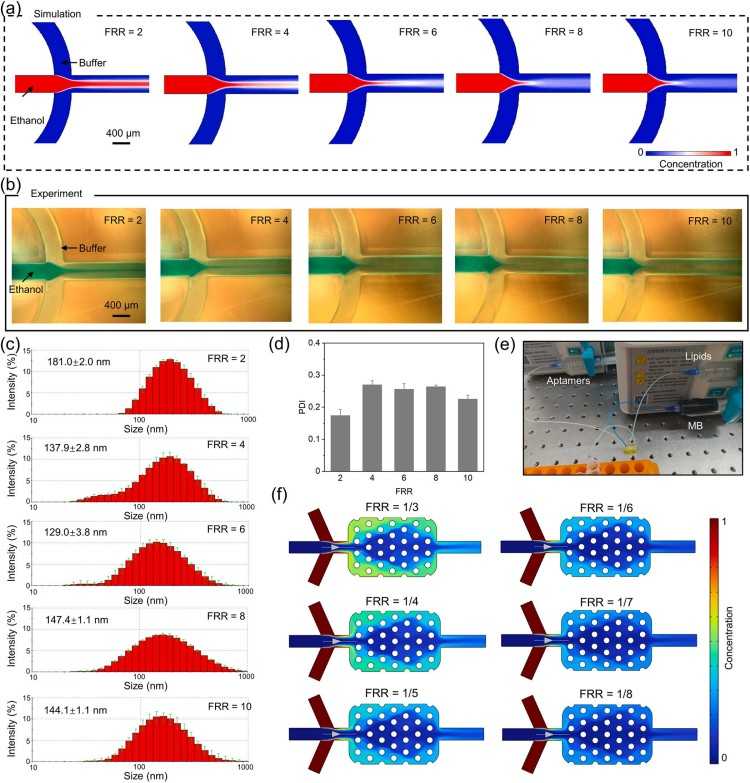 1744354370594147.jpg 微信圖片_20250411144932.jpg