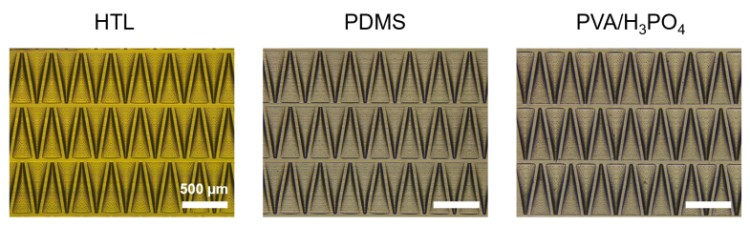 1744359804620650.jpg 微信圖片_20250411161903.jpg