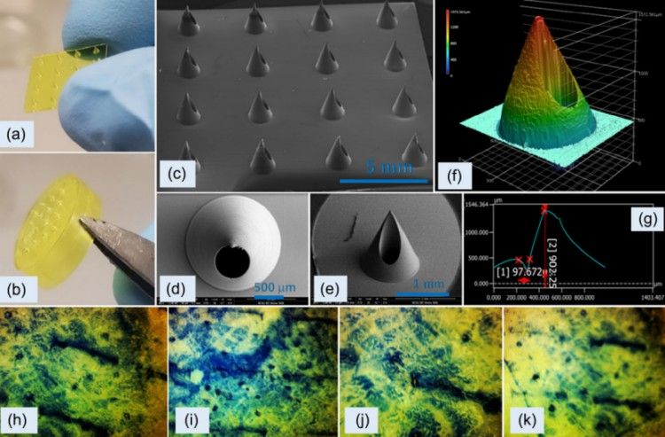 1744360521395235.jpg 微信圖片_20250411163104.jpg