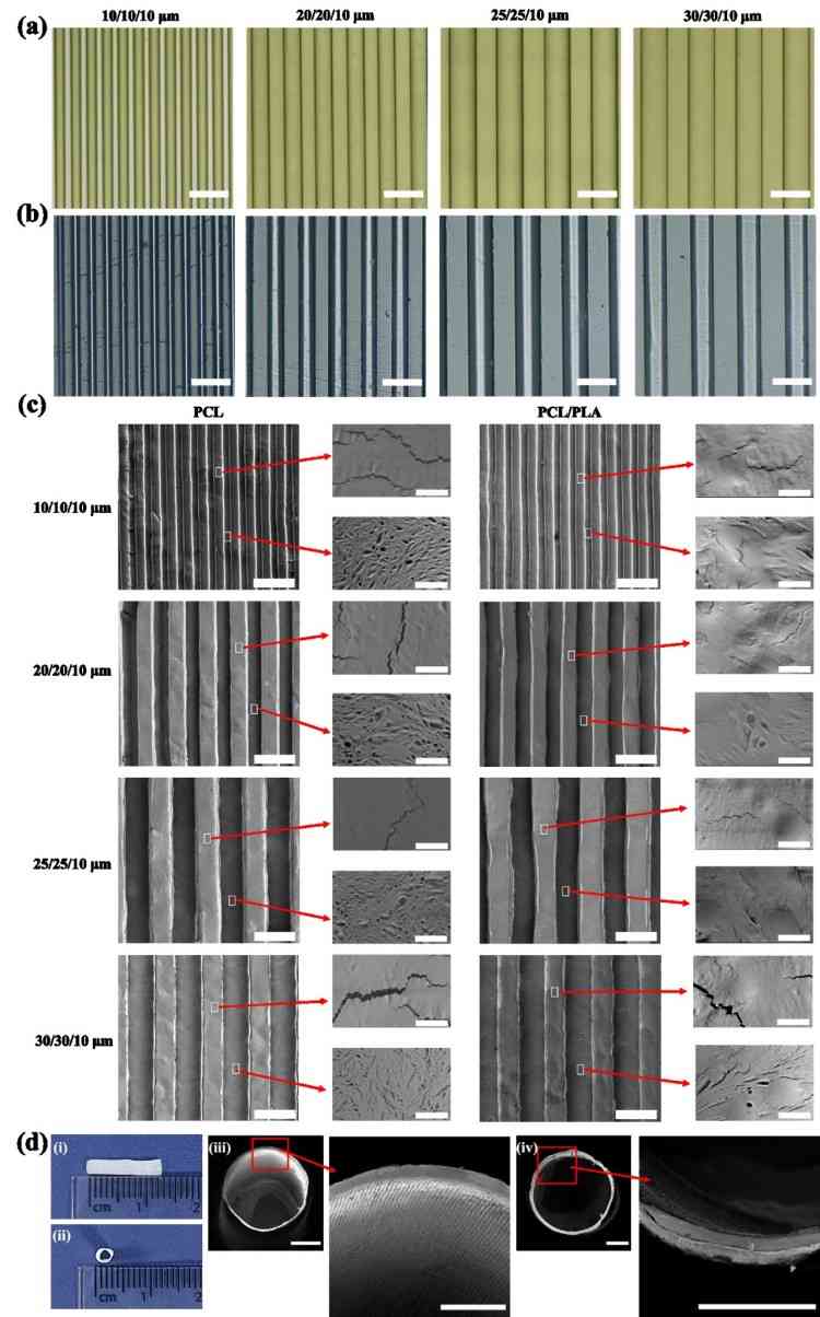 1744683623671420.jpg 微信圖片_20250415101848.jpg
