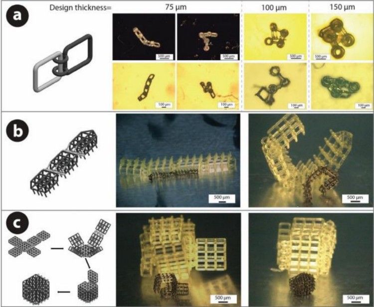 1744686826136841.jpg 微信圖片_20250415111128.jpg