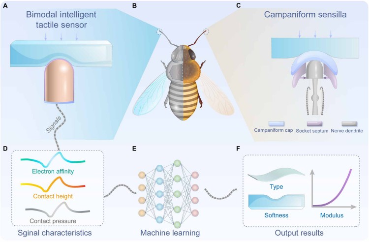 1744687393893882.jpg 微信圖片_20250415112156.jpg
