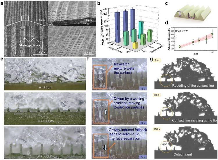 1744767725458031.jpg 微信圖片_20250416092717.jpg