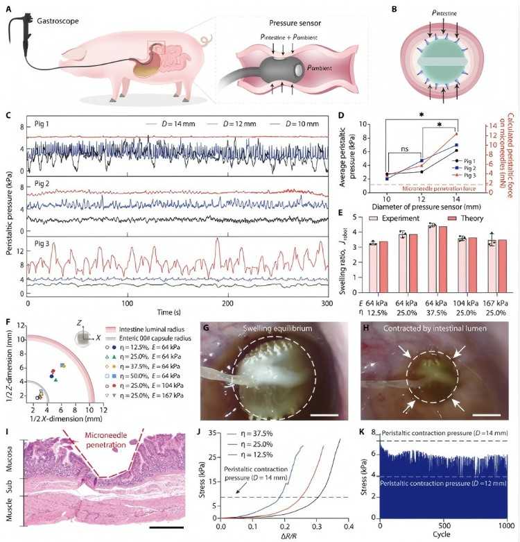 1745204756154852.jpg 微信圖片_20250421110449.jpg