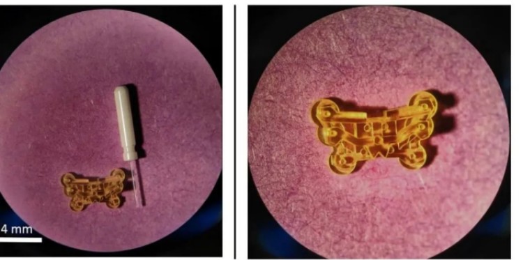 1745204780794838.jpg 微信圖片_20250421110453.jpg