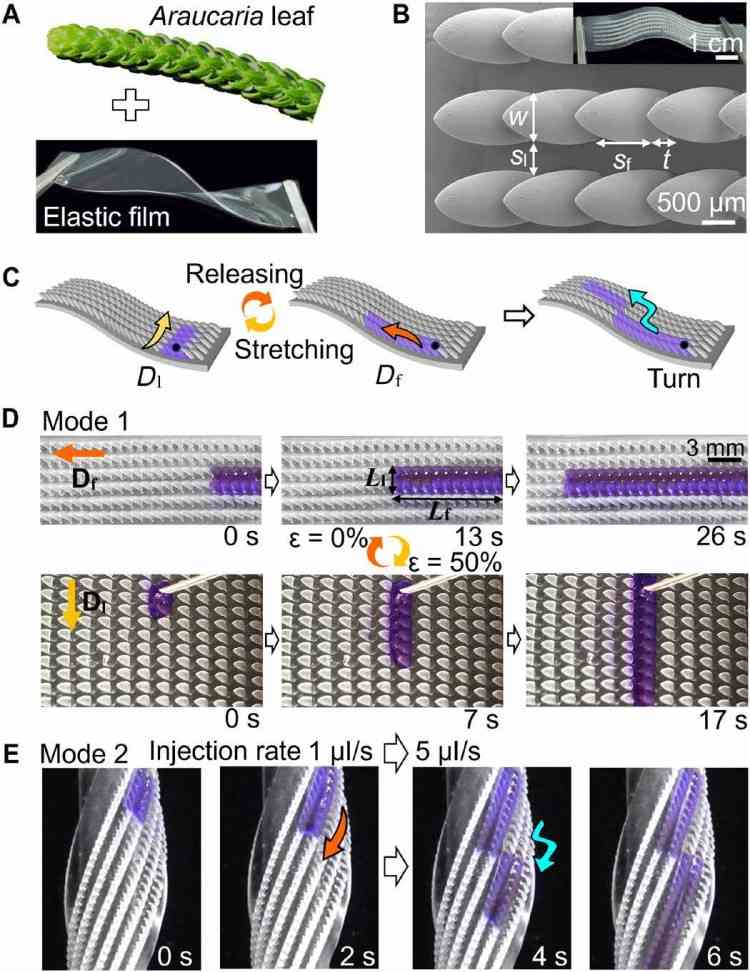 1745205156954417.jpg 微信圖片_20250421111052.jpg