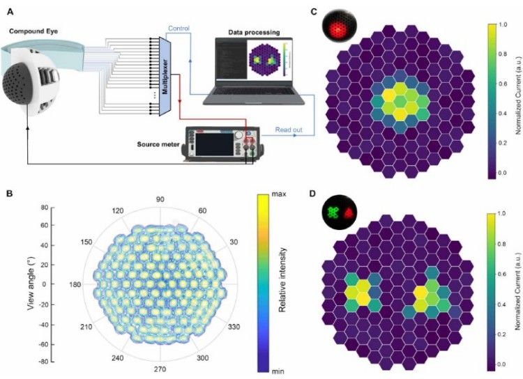 1745893884263962.jpg 微信圖片_20250429102946.jpg