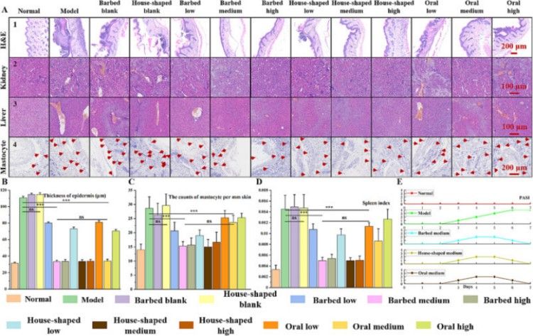1745992367415325.jpg 微信圖片_20250430135051.jpg