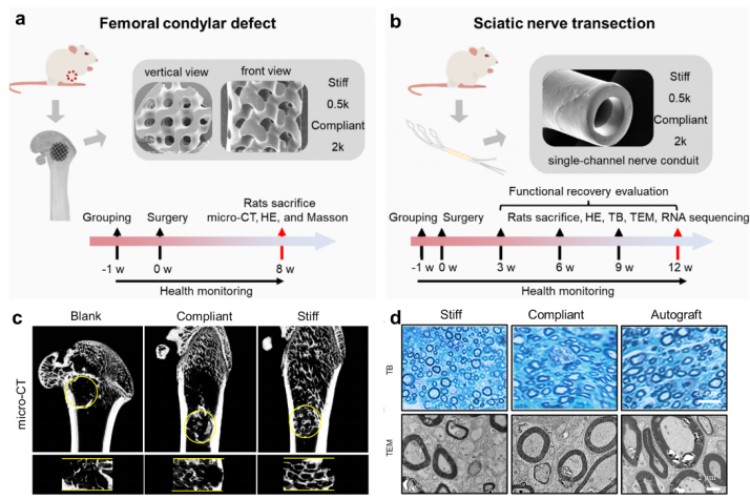 1746597911552908.jpg 微信圖片_20250507140309.jpg