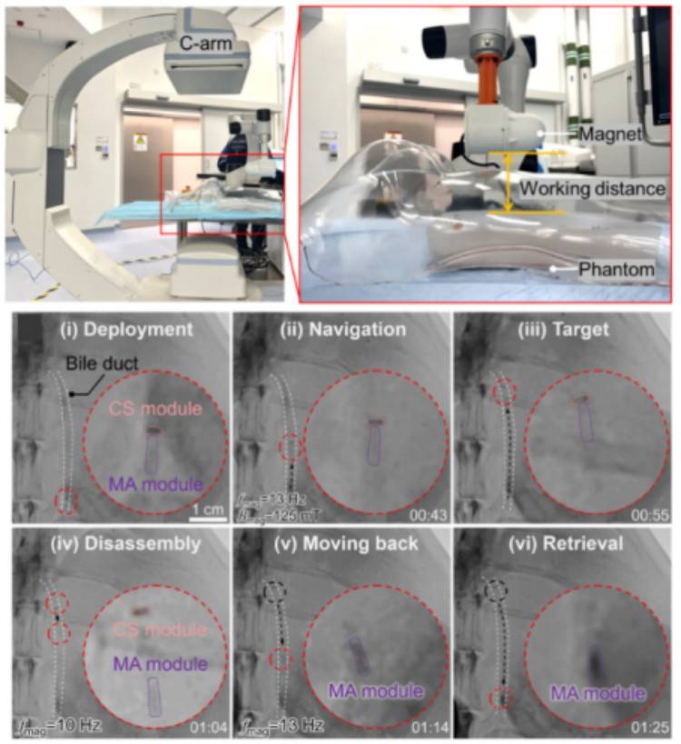 1746601049747619.jpg 微信圖片_20250507144658.jpg