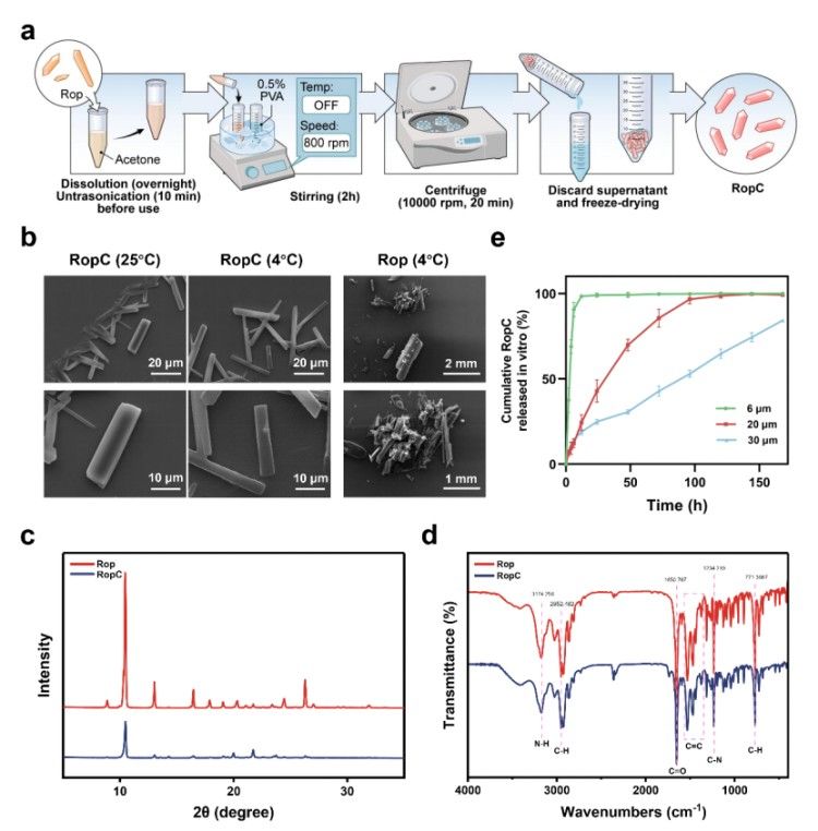 1746691804554309.jpg 微信圖片_20250508160908.jpg