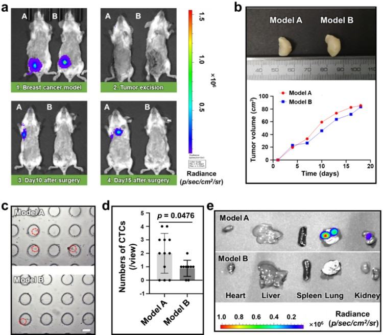 1747192190525715.jpg 微信圖片_20250514110816.jpg
