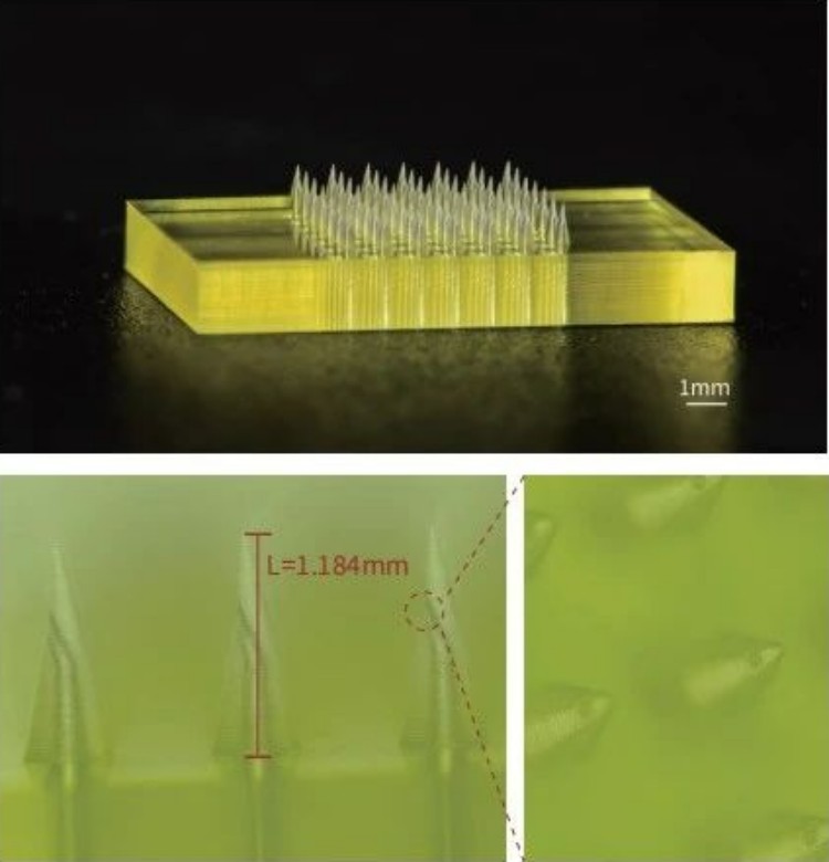 1747797516890161.jpg 微信圖片_20250521111710.jpg