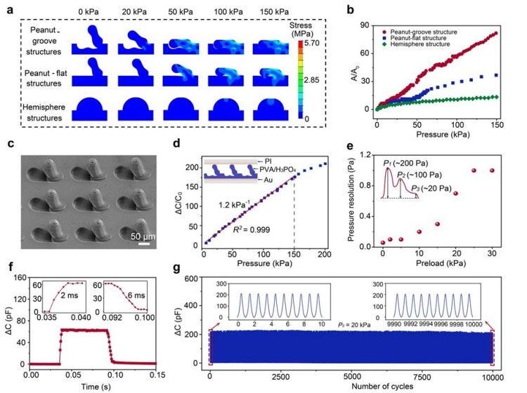 1747986685571188.jpg 微信圖片_20250523155017.jpg