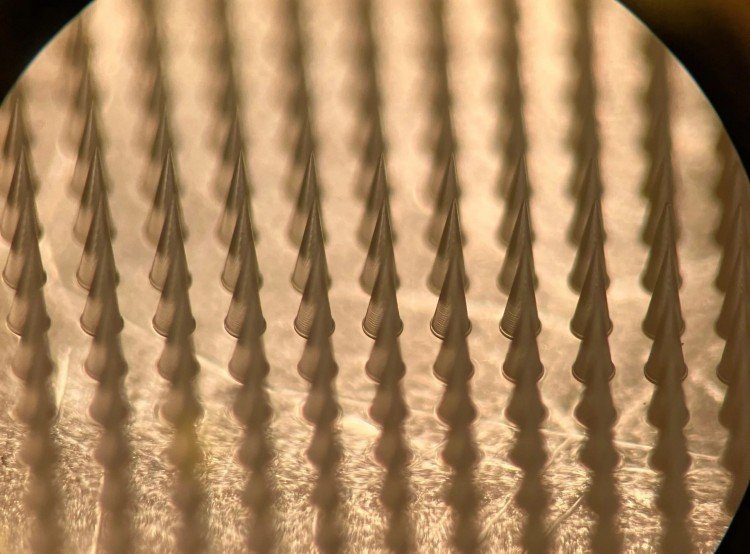 1748414744378933.jpg 微信圖片_20250523160335.jpg