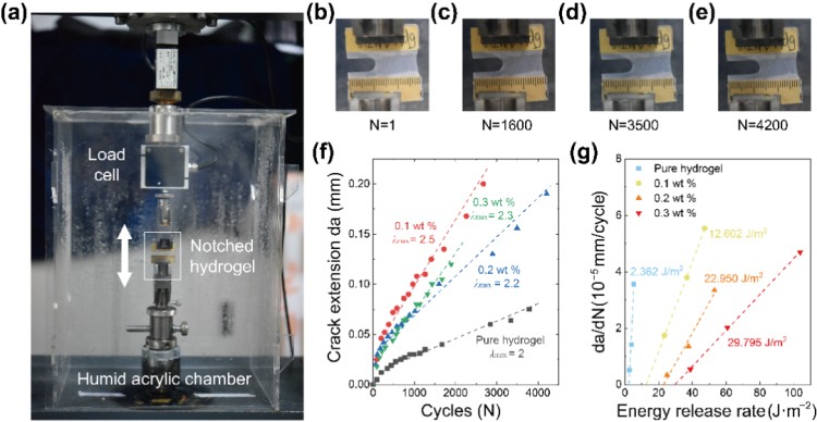 1748416608837286.jpg 微信圖片_20250528151549.jpg