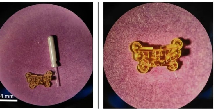 1749001892198994.jpg 2.jpg