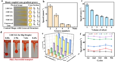 1749003038295071.png 微信圖片_20250604100734.png