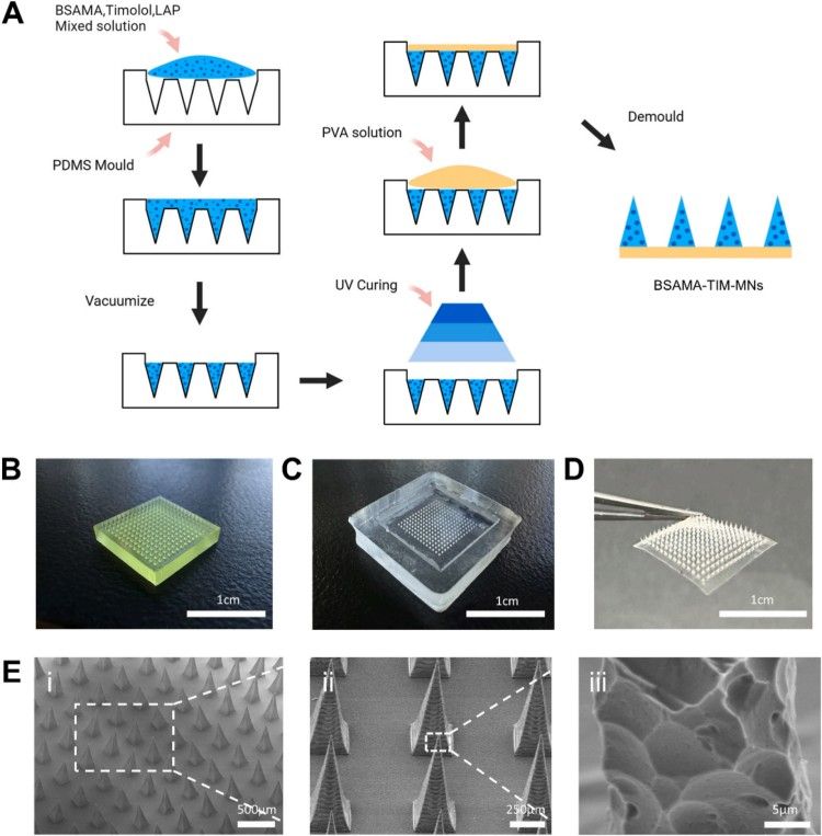 1749174339792475.jpg 微信圖片_20250606094433.jpg