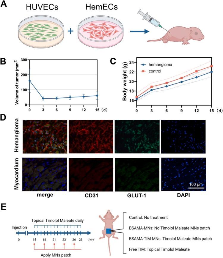 1749174389111801.jpg 微信圖片_20250606094444.jpg