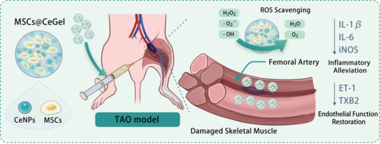 1749457729762669.jpg 微信圖片_20250609162648.jpg