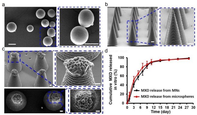 1749459695270679.jpg 微信圖片_20250609165918.jpg