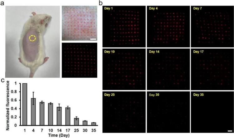 1749459715264501.jpg 微信圖片_20250609165927.jpg