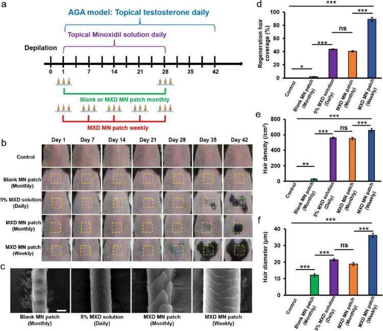 1749459725297511.jpg 微信圖片_20250609165930.jpg