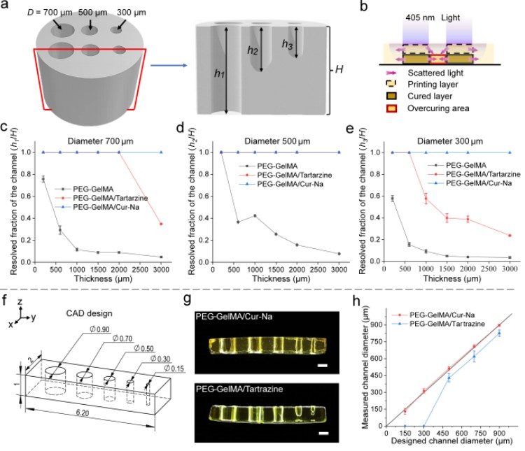 1749461544131763.jpg 微信圖片_20250609172954.jpg