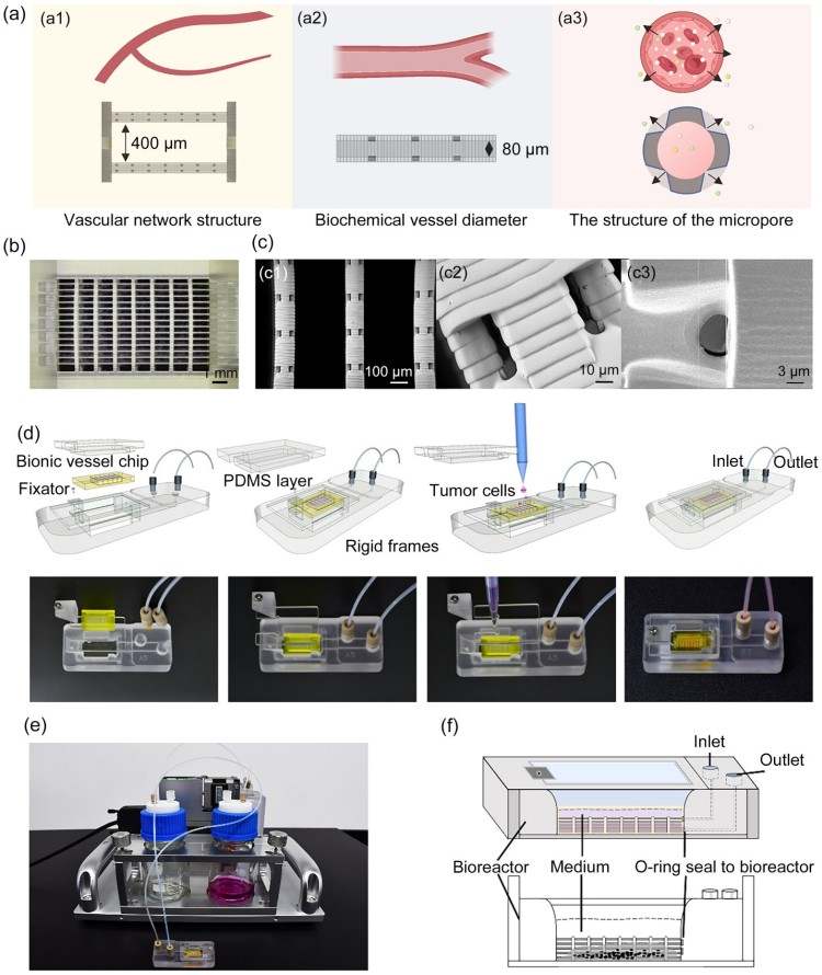 1749611035960106.jpg 微信圖片_20250611110320.jpg