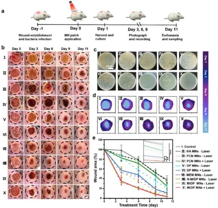 1749698402666714.jpg 微信圖片_20250612111814.jpg