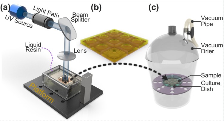 1749706890303264.jpg 微信圖片_20250612133018.jpg