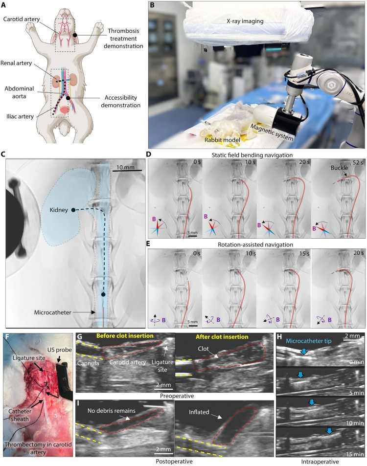 1752026550216604.jpg 微信圖片_20250709093500.jpg