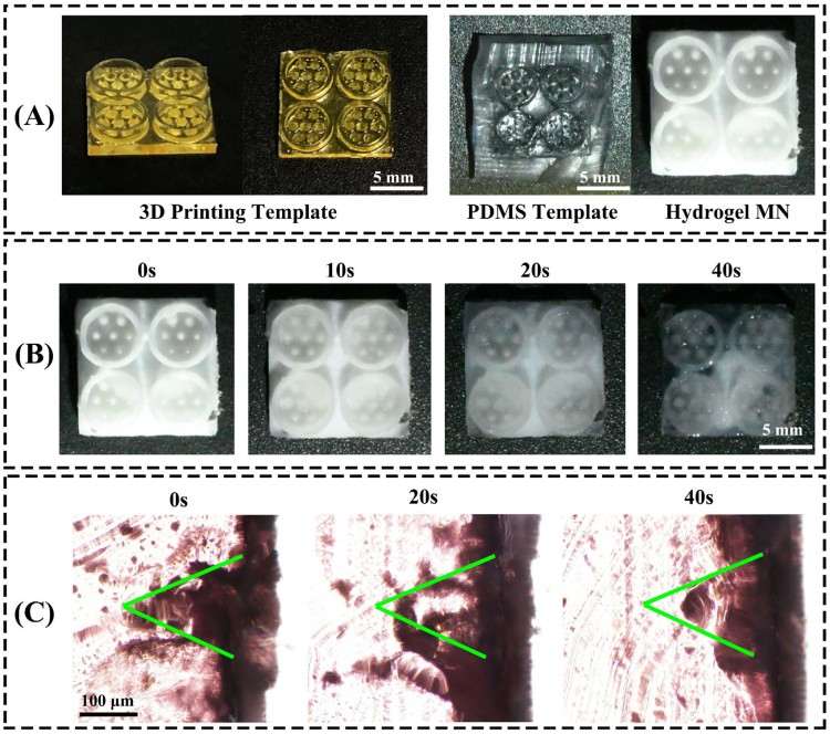 1752802652253415.jpg 微信圖片_20250718092541.jpg