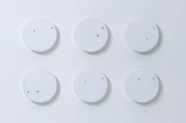 1753666565361448.jpg 微信圖片_20250728092359.jpg