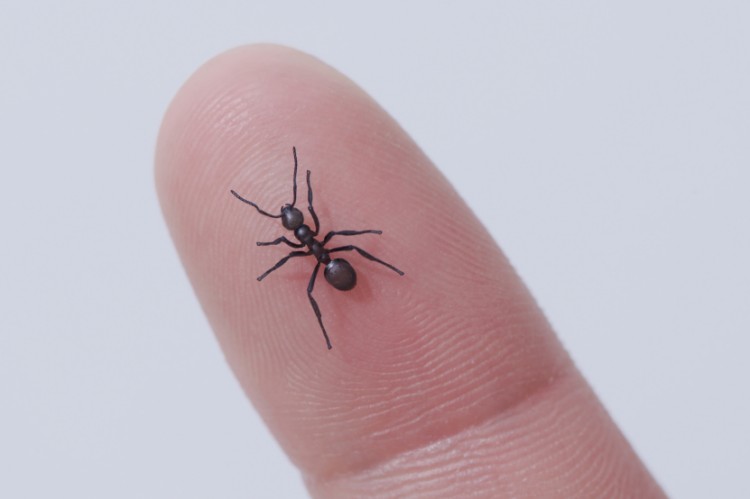 1753666604559777.jpg 微信圖片_20250728092429.jpg