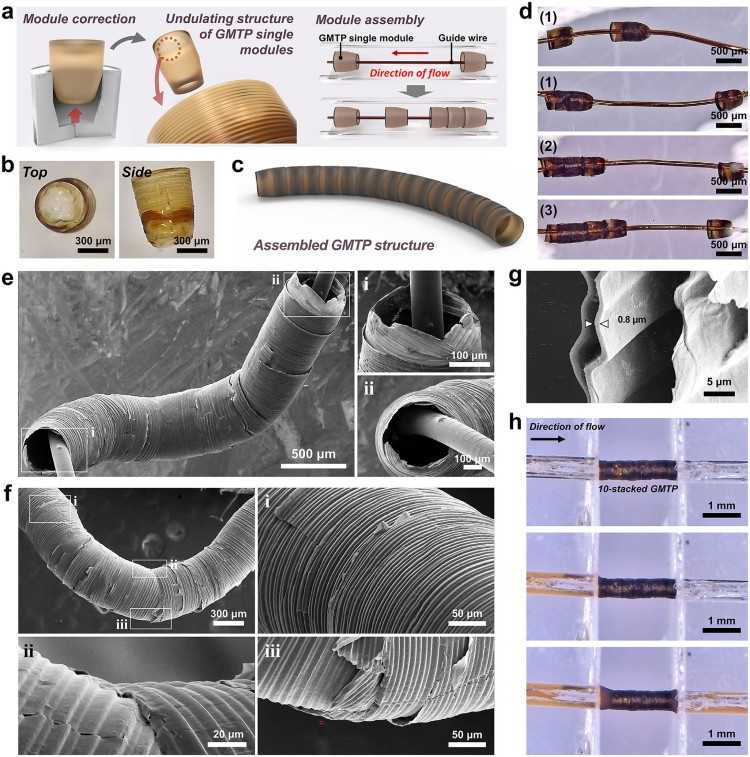 1753670752333837.jpg 微信圖片_20250728103829.jpg