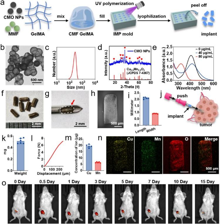 1754274768842223.jpg 微信圖片_2025-08-04_103118_000.jpg