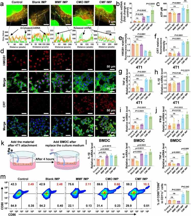 1754274829810432.jpg 微信圖片_2025-08-04_103130_890.jpg