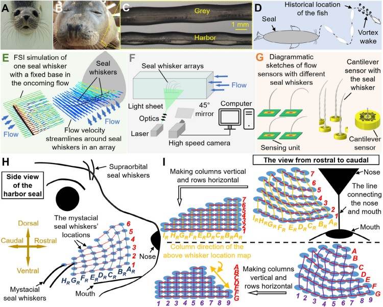 1754890967479961.jpg 微信圖片_2025-08-11_132328_632.jpg