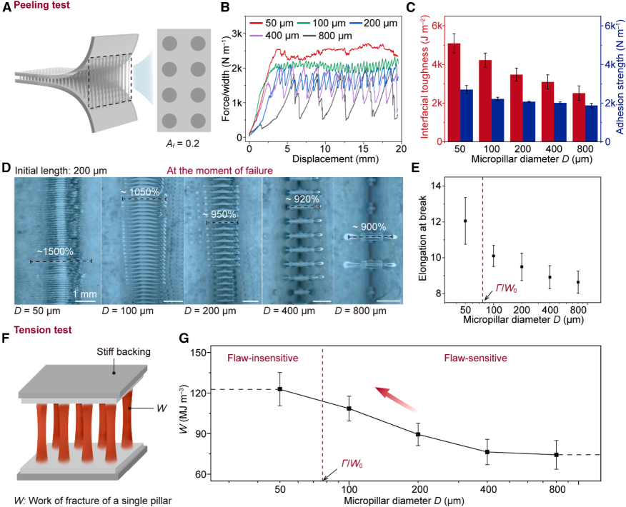 1756448578410786.png 111.png